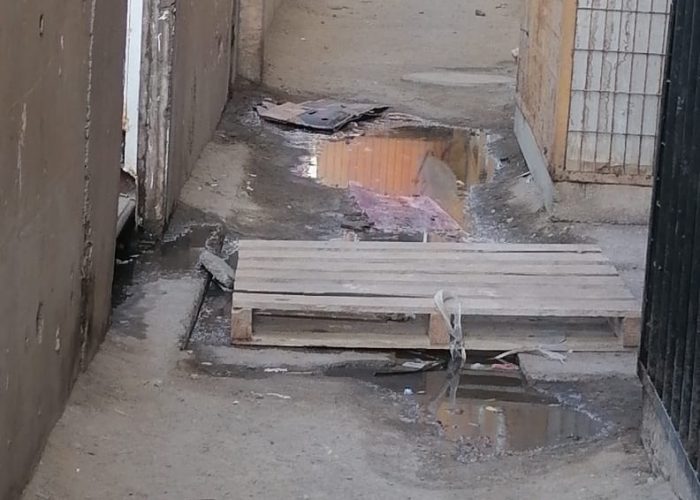 WhatsApp Image 2023-09-06 at 4.08.49 PM (1)