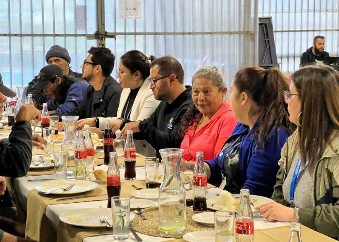 photo_4945358274308451746_y