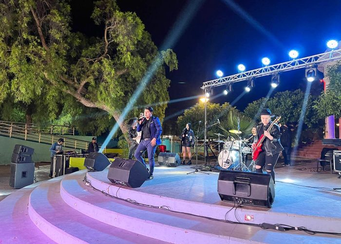 photo_4949590148534872906_y