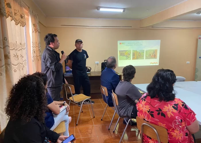 photo_5030886444859763711_y