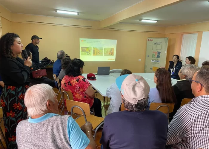 photo_5030886444859763712_y