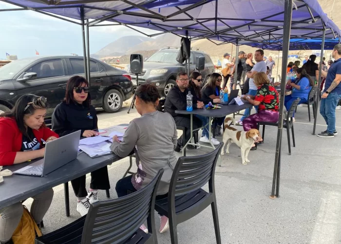 photo_5073716245282532269_y