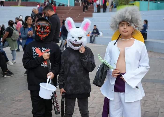 thumbnail_photo_5050960031079575541_w