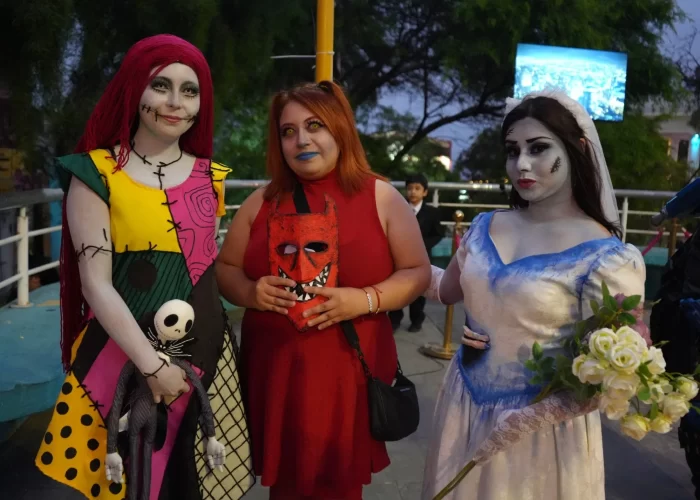 thumbnail_photo_5050960031079575565_w